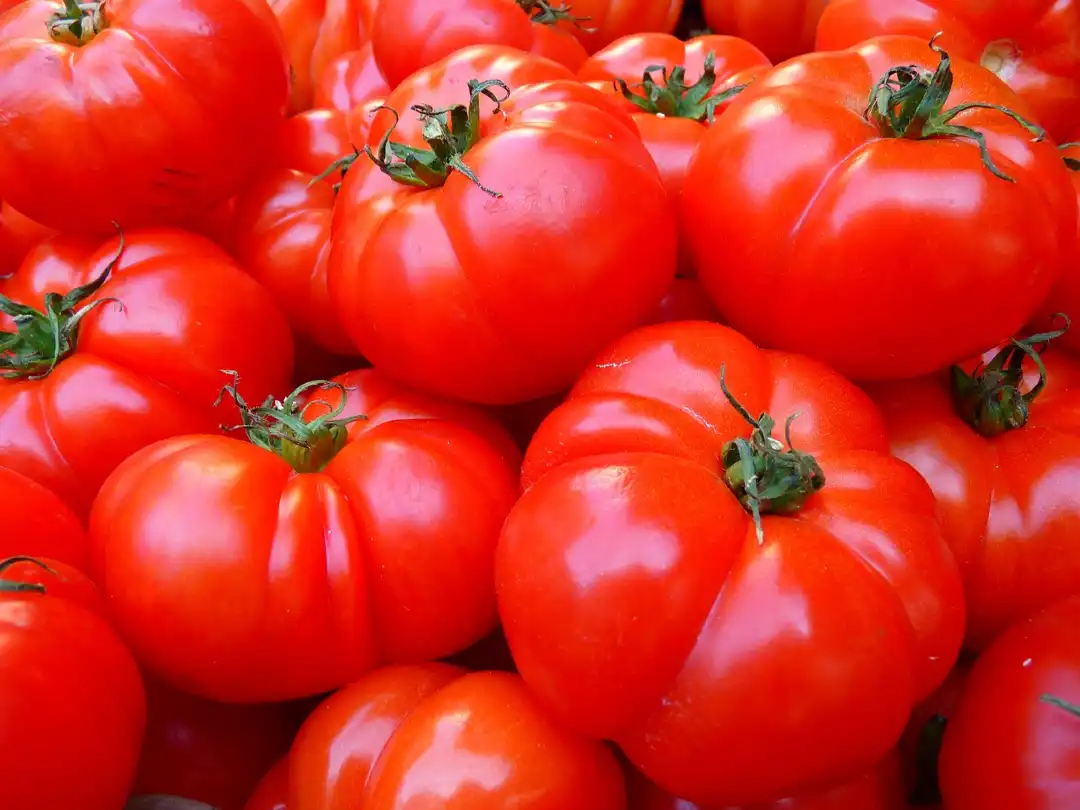 How to grow tomatoes at home