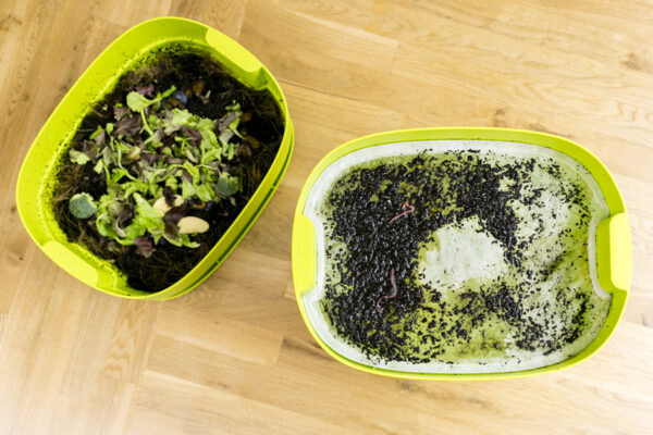 Light green Urbalive Worm Farm with food scraps and red worms in vermicompost