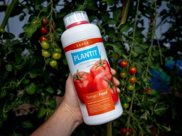 Tomato feed for indoor and outdoor plants