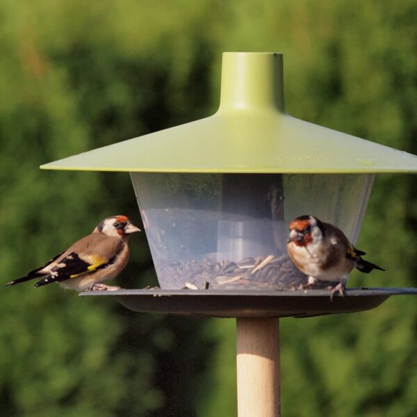 Two birds feeding at Urbalive Birdfeeder with green roof
