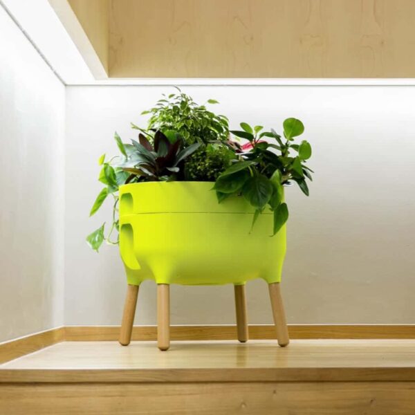 Green Low Urbalive planter filled with beautiful plants