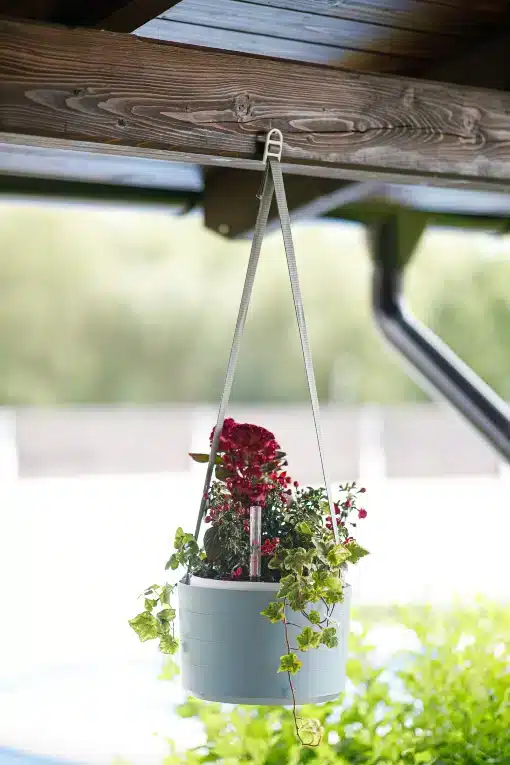 hanging basket, garden saving water,wet