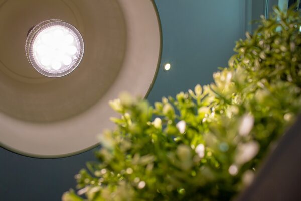 LED grow light , E27 Grow light bulb for hydroponics, indoor plants and terrainiums