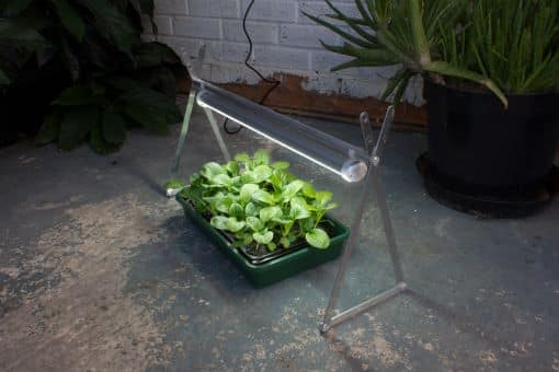 RooT!T LED Grow light, indoor garden, growing herbs, 