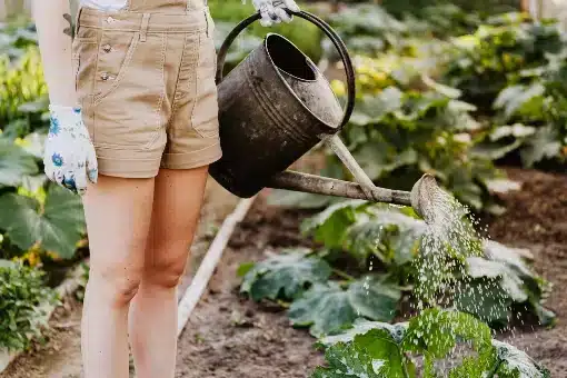 use a watering can, water spreads , wet
