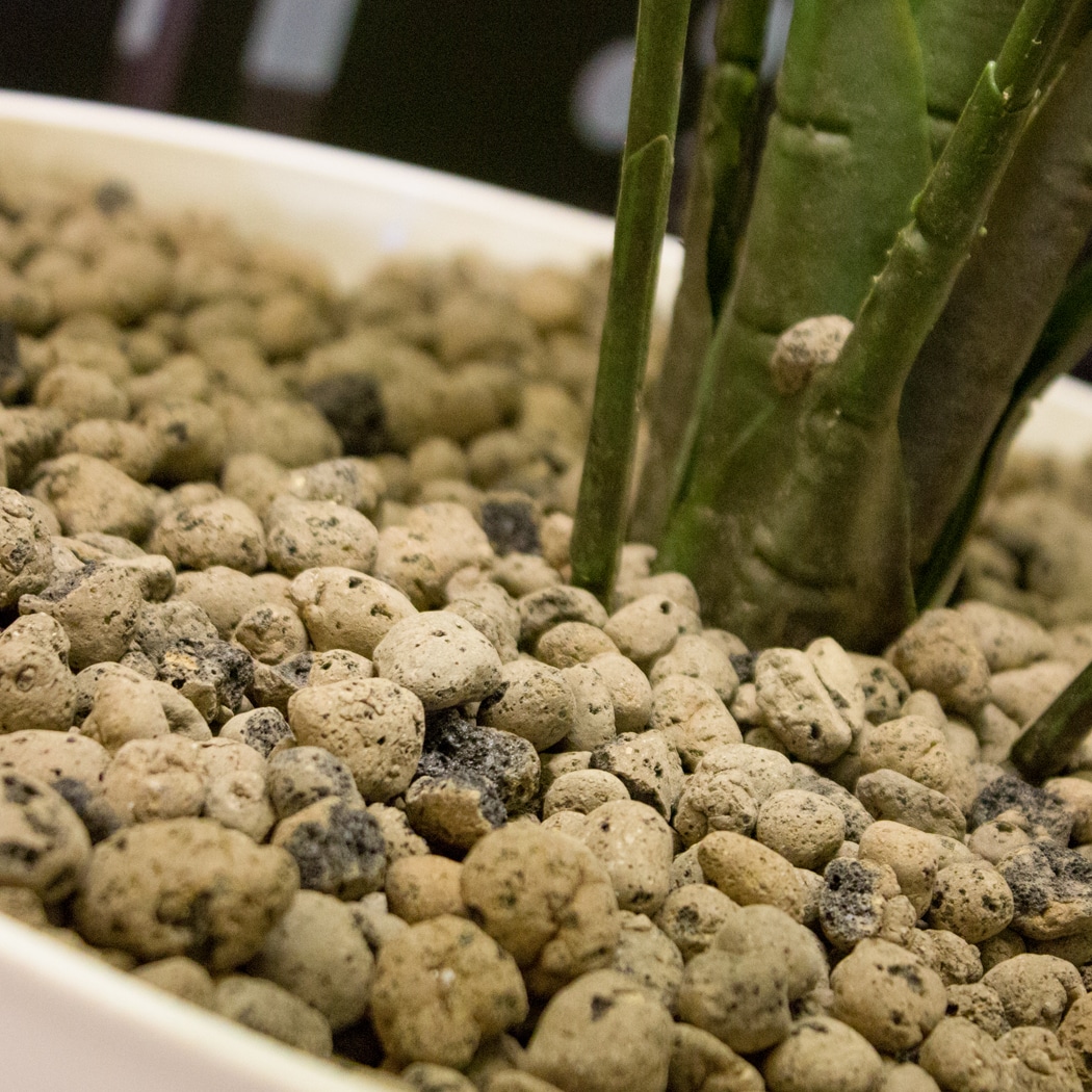Clay pebbles, substrates for indoor plants, air circulation 