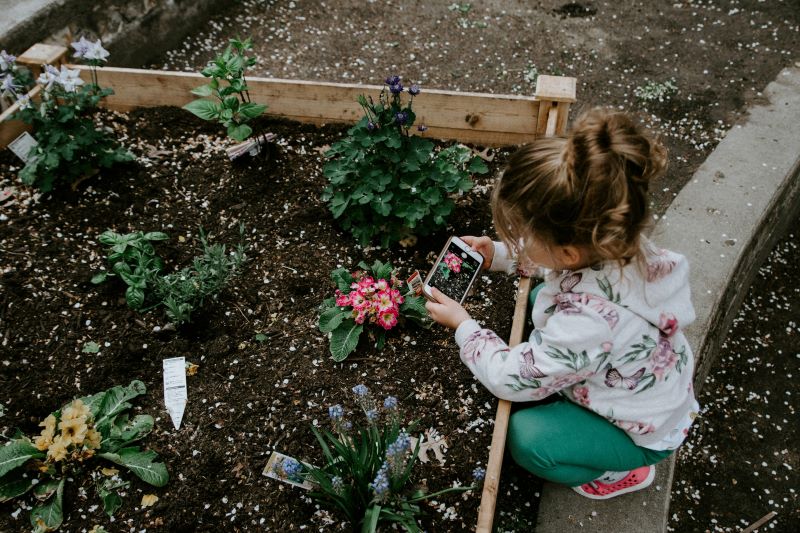 child in garden learning about plants 