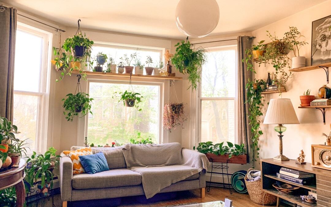The Ultimate Guide to Indoor Gardening: Tips and Tricks for a Thriving Indoor Garden