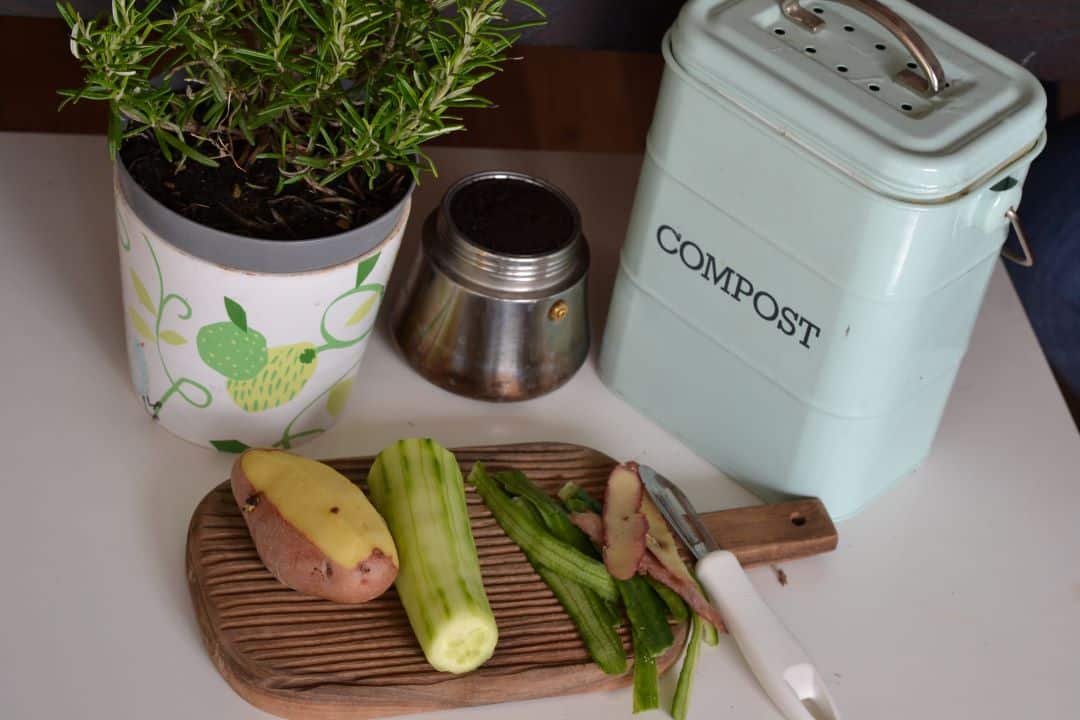 compost food scraps, compost bin, home composting
