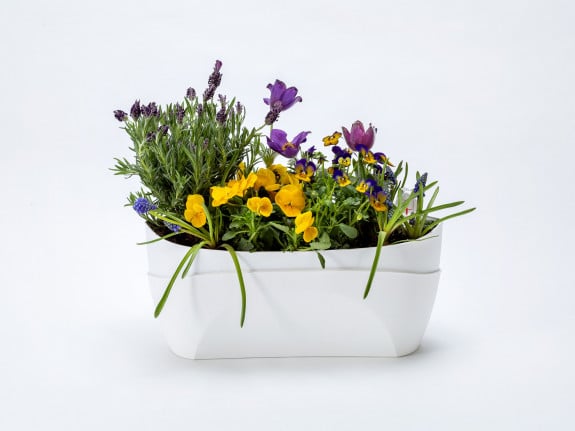 White Self Watering Plastia plant pot with  yelloe and purple flowers