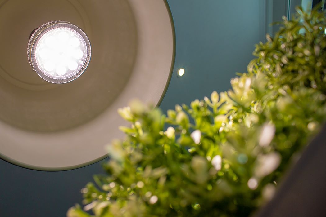best budget grow light for indoor plants, Led grow light, save money 