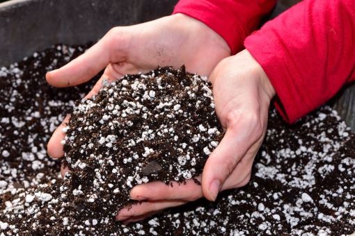 The difference between potting soil and potting mix